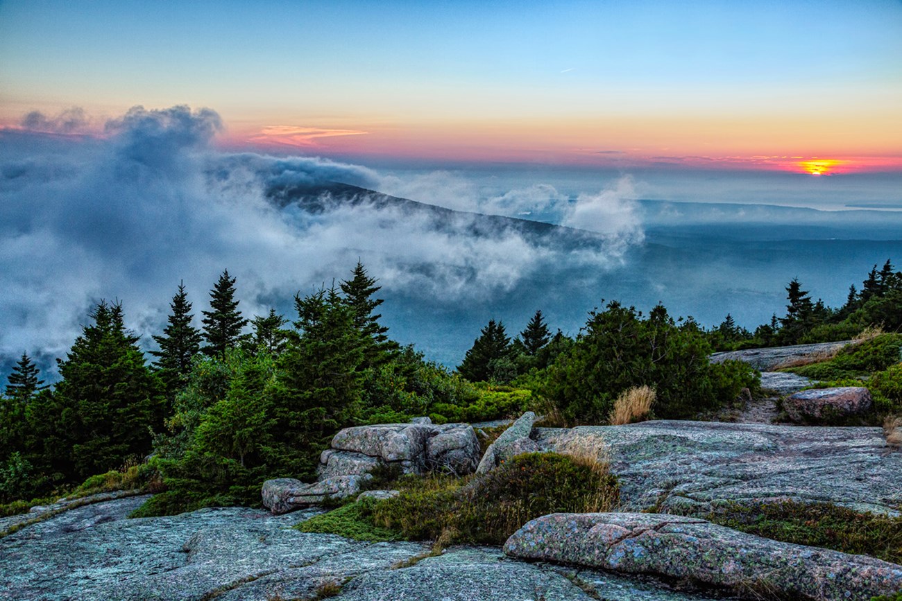 Landscape photo at dawn with rocky mountain summit and small trees in foreground Landscape photo at dawn with rocky mountain summit and small trees in foreground