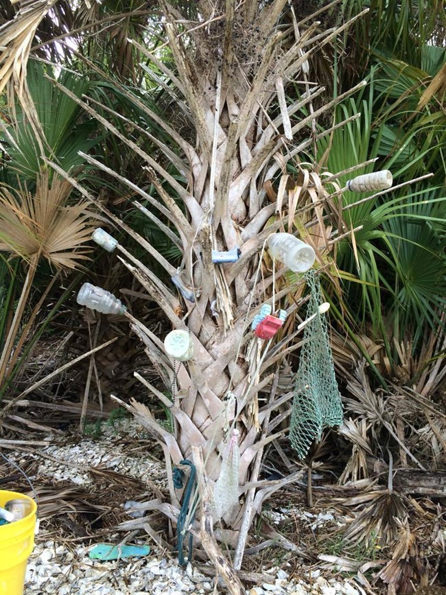 Image of plastic water bottles and other trash found on the beach littering a tree.