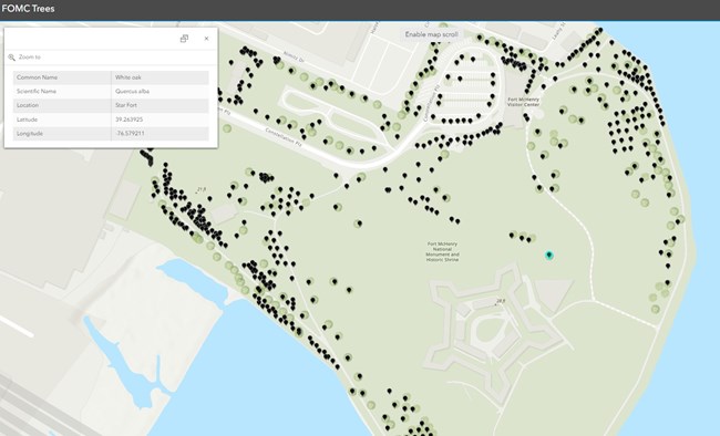 Fort McHenry Tree Map