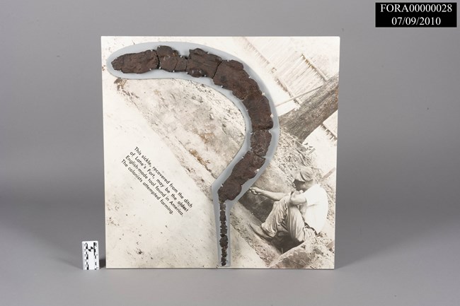 A sickle artifact found during the archeology of Fort Raleigh