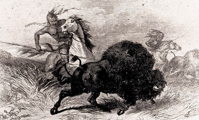 Lithograph of bison being chased by Native hunting party Lithograph of bison being chased by Native hunting party