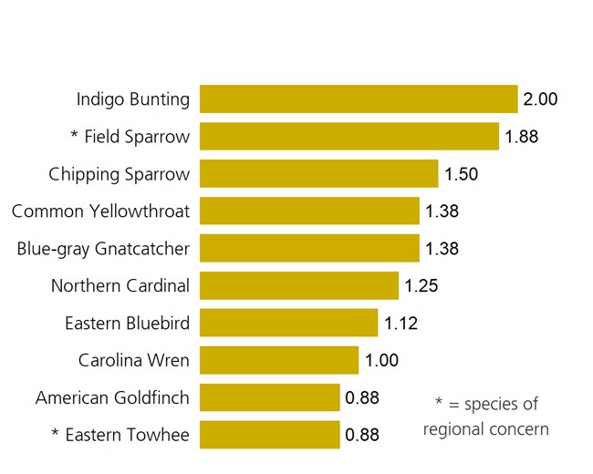 Yellow bar plot of the ten most abundant birds in grassland sites in 2019. Yellow bar plot of the ten most abundant birds in grassland sites in 2019.