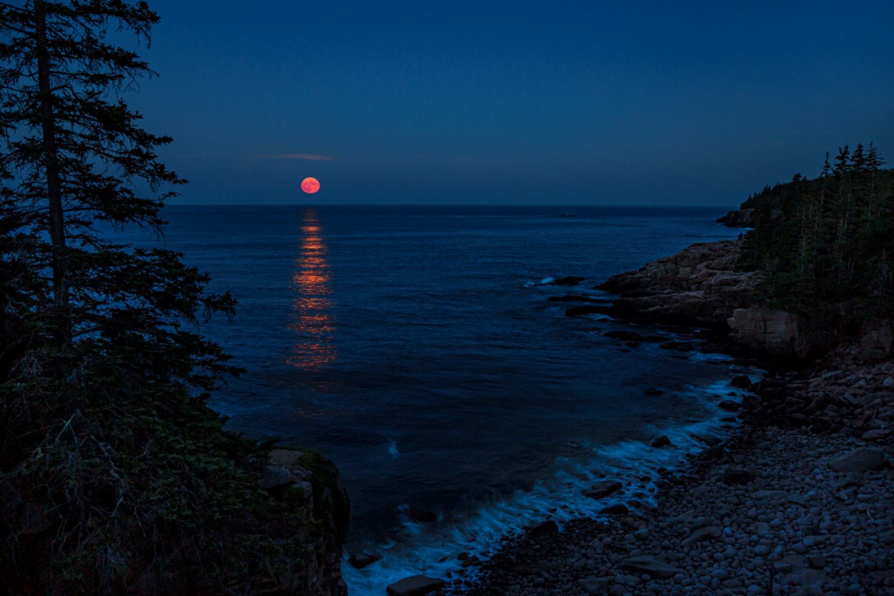 Night photo of a rising red-orange moon just above the horizon spanning open ocean water with silhouette of trees and shoreline in foreground