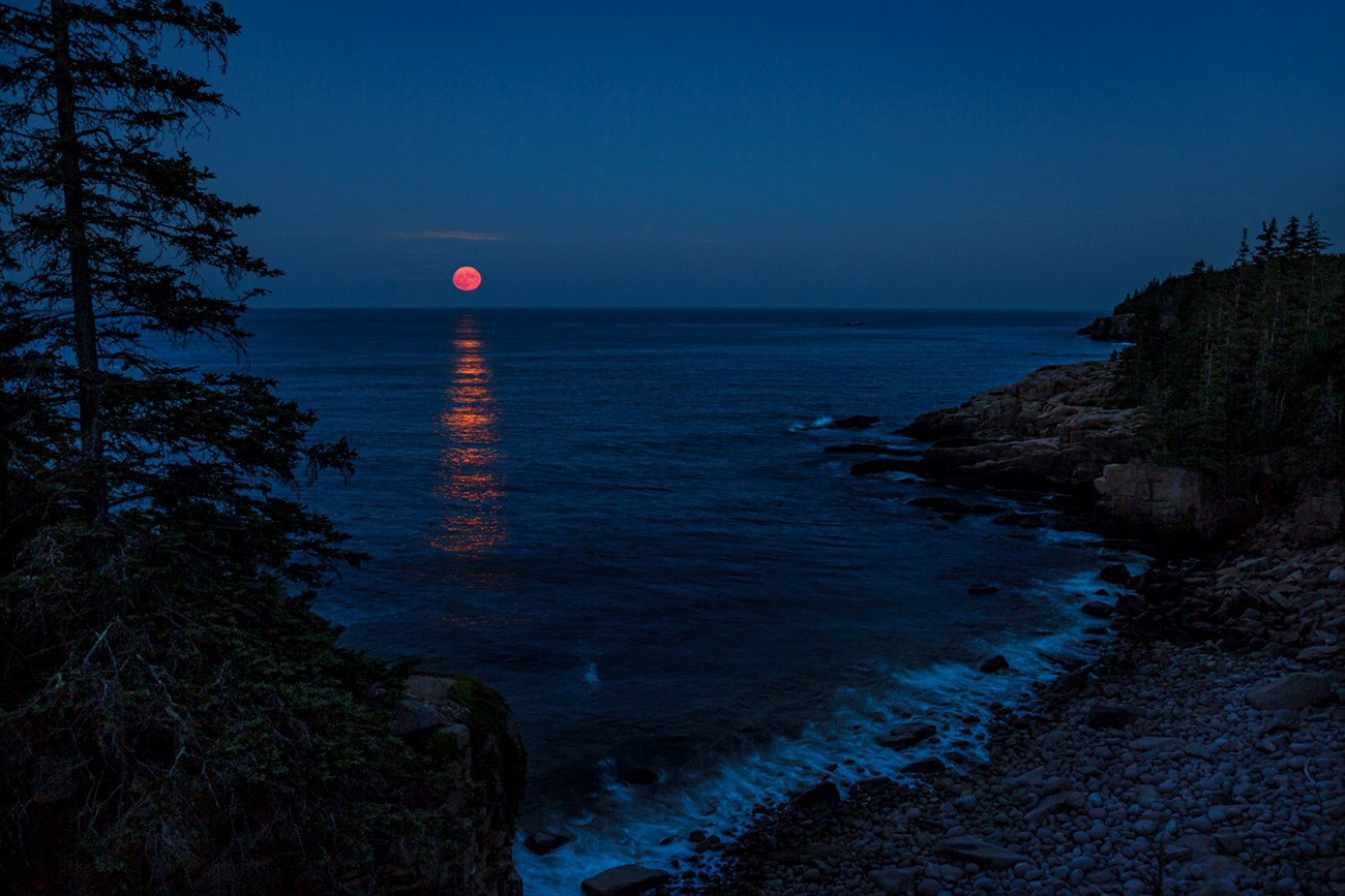 Night photo of a rising red-orange moon just above the horizon spanning open ocean water with silhouette of trees and shoreline in foreground Night photo of a rising red-orange moon just above the horizon spanning open ocean water with silhouette of trees and shoreline in foreground
