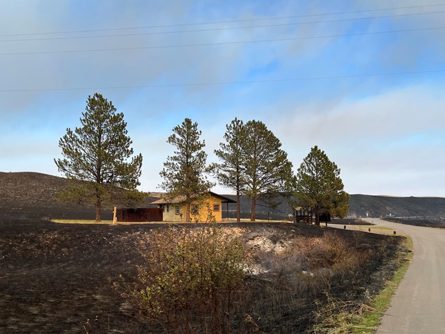 After the prescribed burn A burned area of vegetation around a building with trees nearby