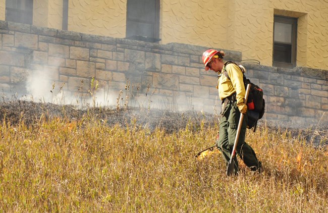Prescribed burn A firefighter uses a drip torch to ignite grasses near a building