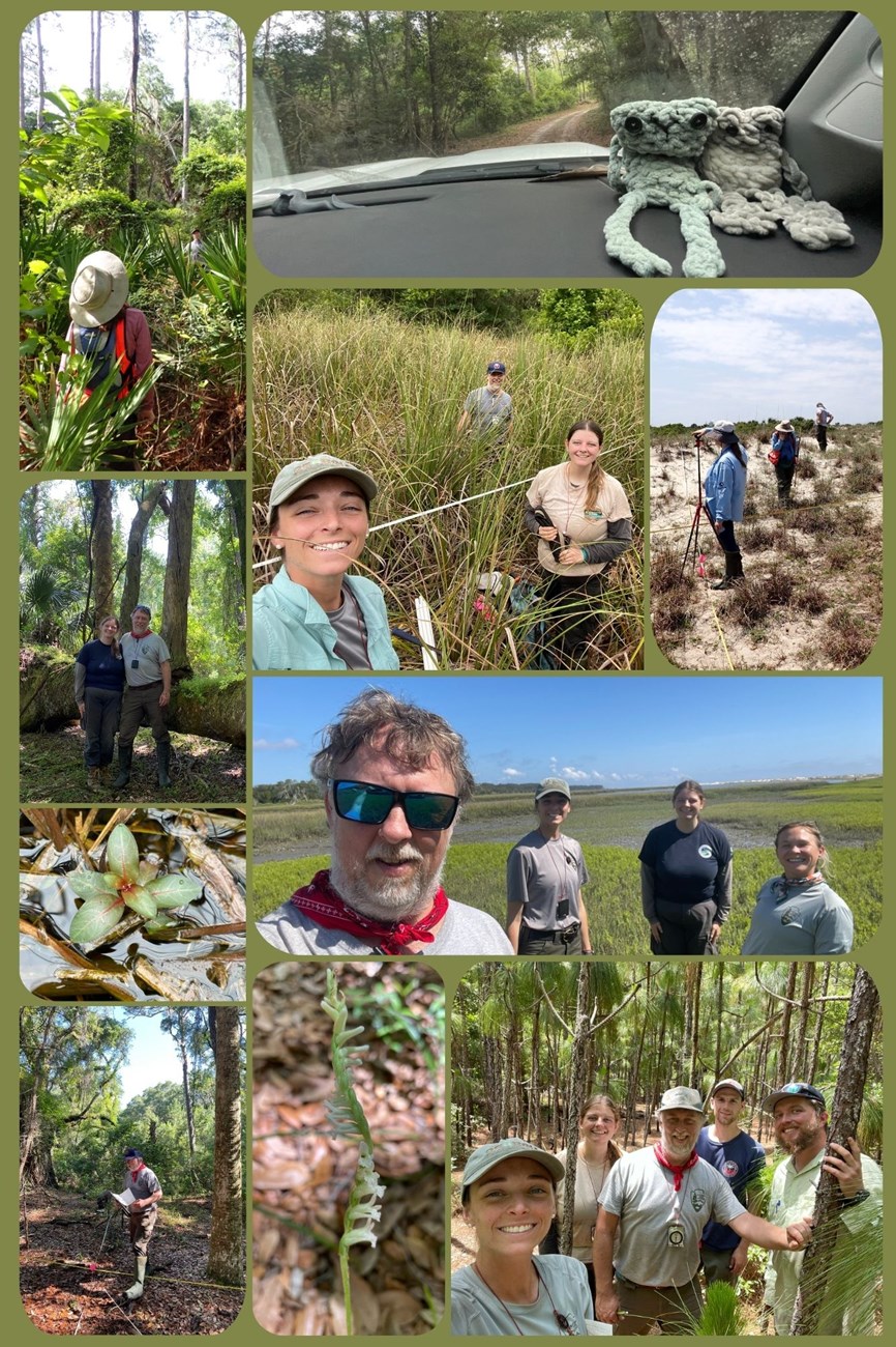 Vegetation monitoring at CUIS Collage of photos from vegetation monitoring at CUIS