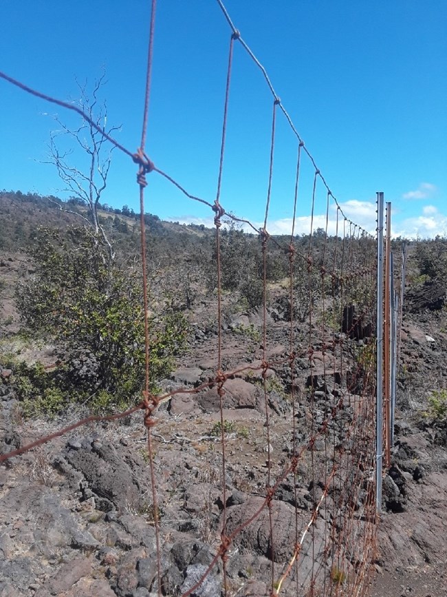 Perimeter Fencing at Three Hawaiʻi Parks to be Reconstructed