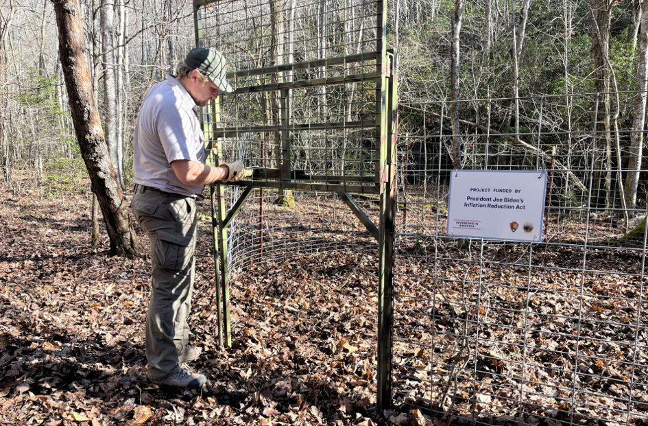 An employee sets a feral swine trap A uniformed individual stands in front of a metal enclosure, with a sign hanging on it