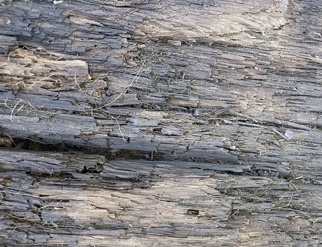 Friable wood Wooden surface showing deterioration. The wood is starting to peel and fluff off