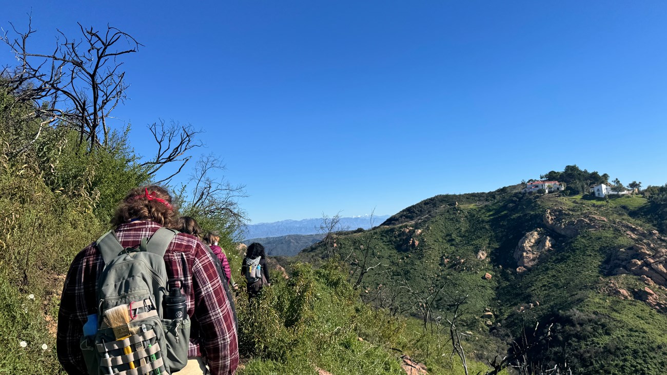 A view looking down a line of several people walking through a scrubby, hilly setting.