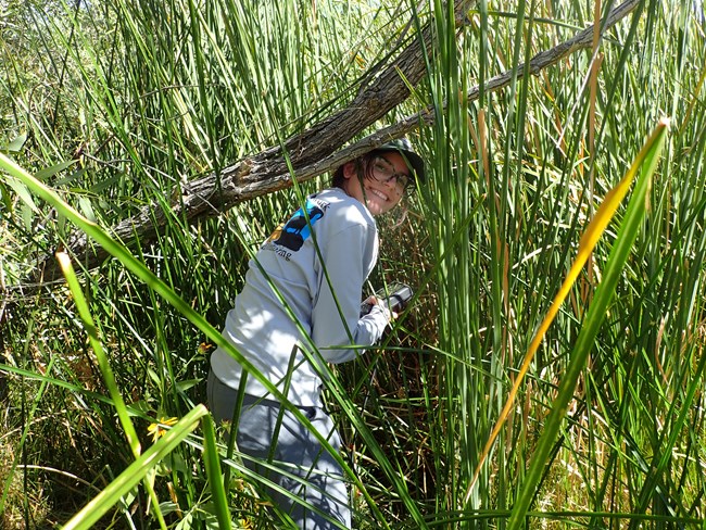 Woman stands in dense, bright green vegetation collecting springs data on a tablet. She is looking over her shoulder smiling at the camera..