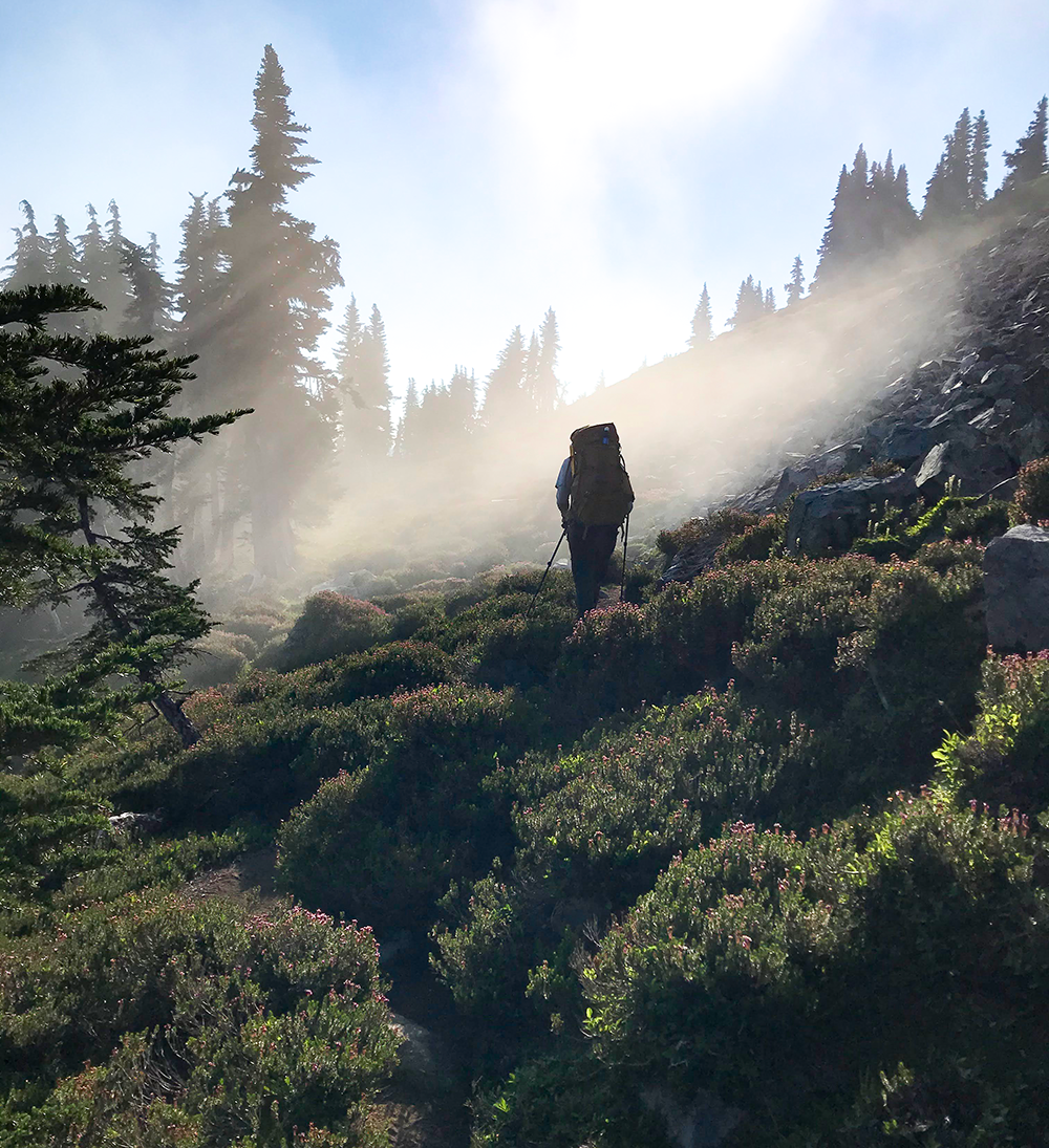 The silhouette of a person walking with a large pack is framed against sunlit mist on a rocky slope with blooming shrubs in the foregrround.