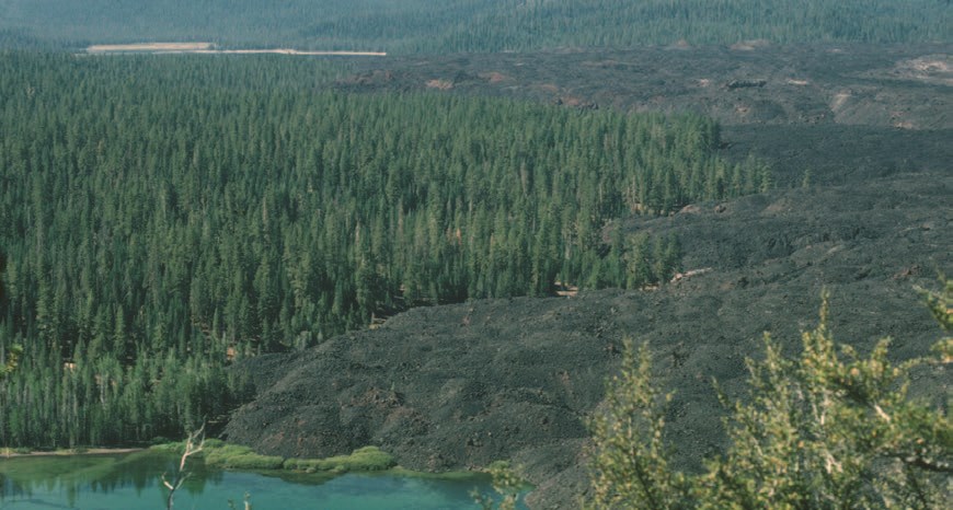 photo of a large lava field next to a forest and a lake