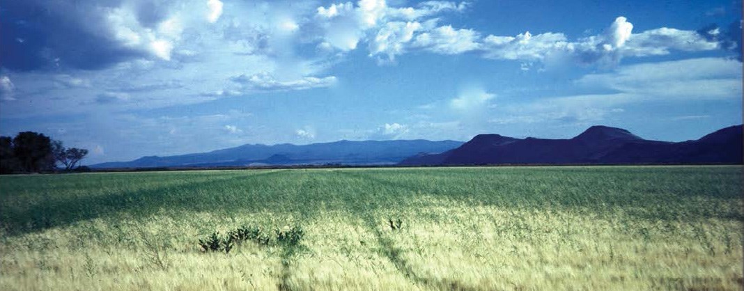 photo with agricultural canal and fields in the foreground and a broad gently sloping mountain in the distance
