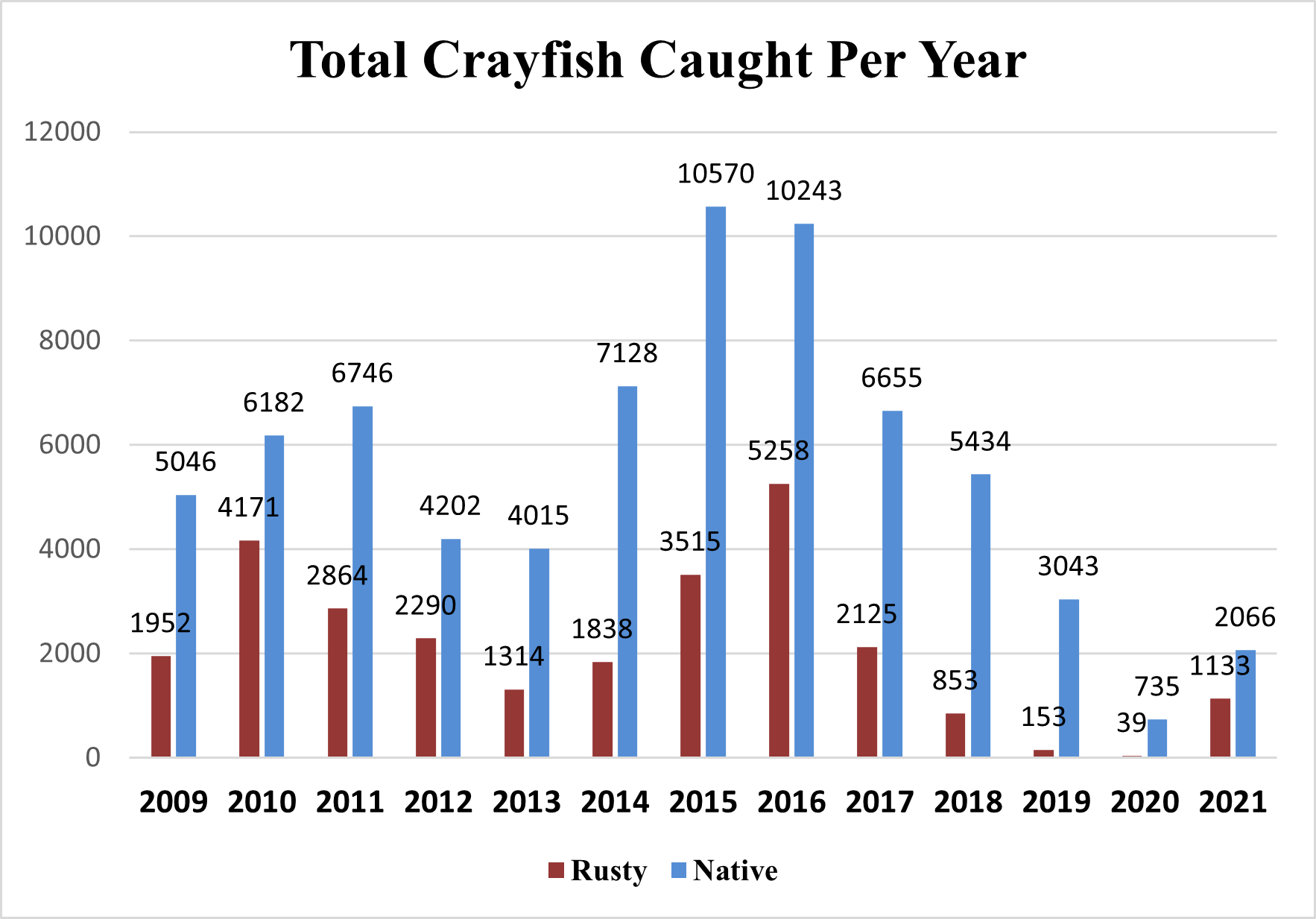 Fig 3 Number of Crayfish Captured a graph shows about twice as many native crayfish captured versus invasive crayfish for every year between 2009 and 2021