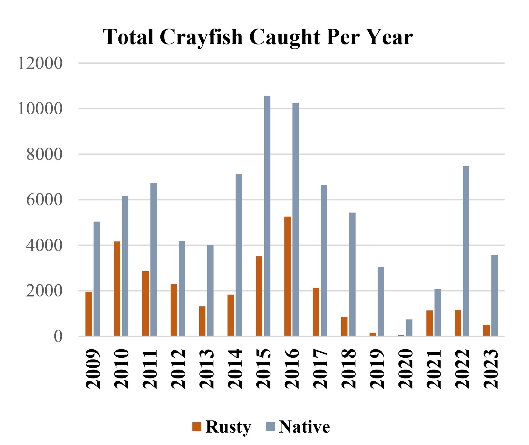 (Figure 3) Number of native and rusty crayfish captured by Crayfish Corps each year. bar graph showing the total number of native versus rusty crayfish caught each year