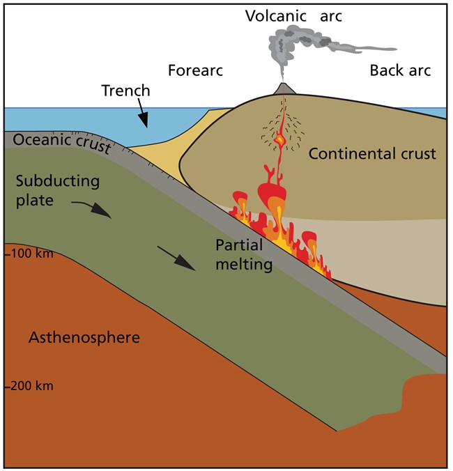 drawing of a subduction zone showing partial melting caused by the descending plate and volcanoes forming above