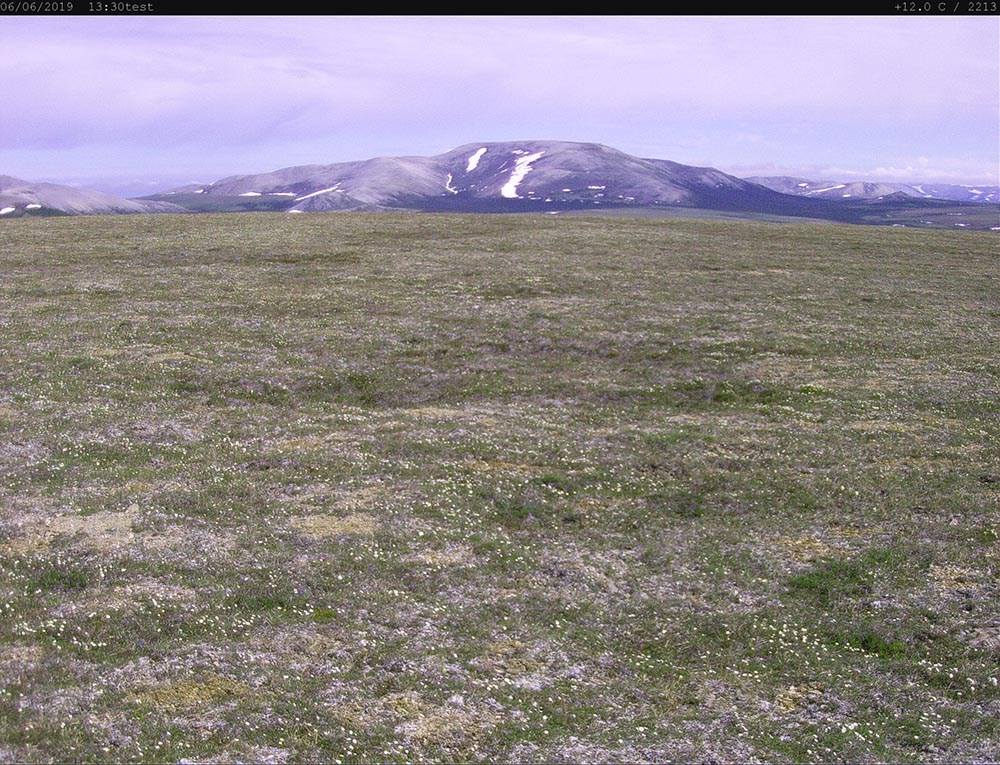 Fig03_MNOA2_2019_06_06_13_30_22_web Arctic tundra.