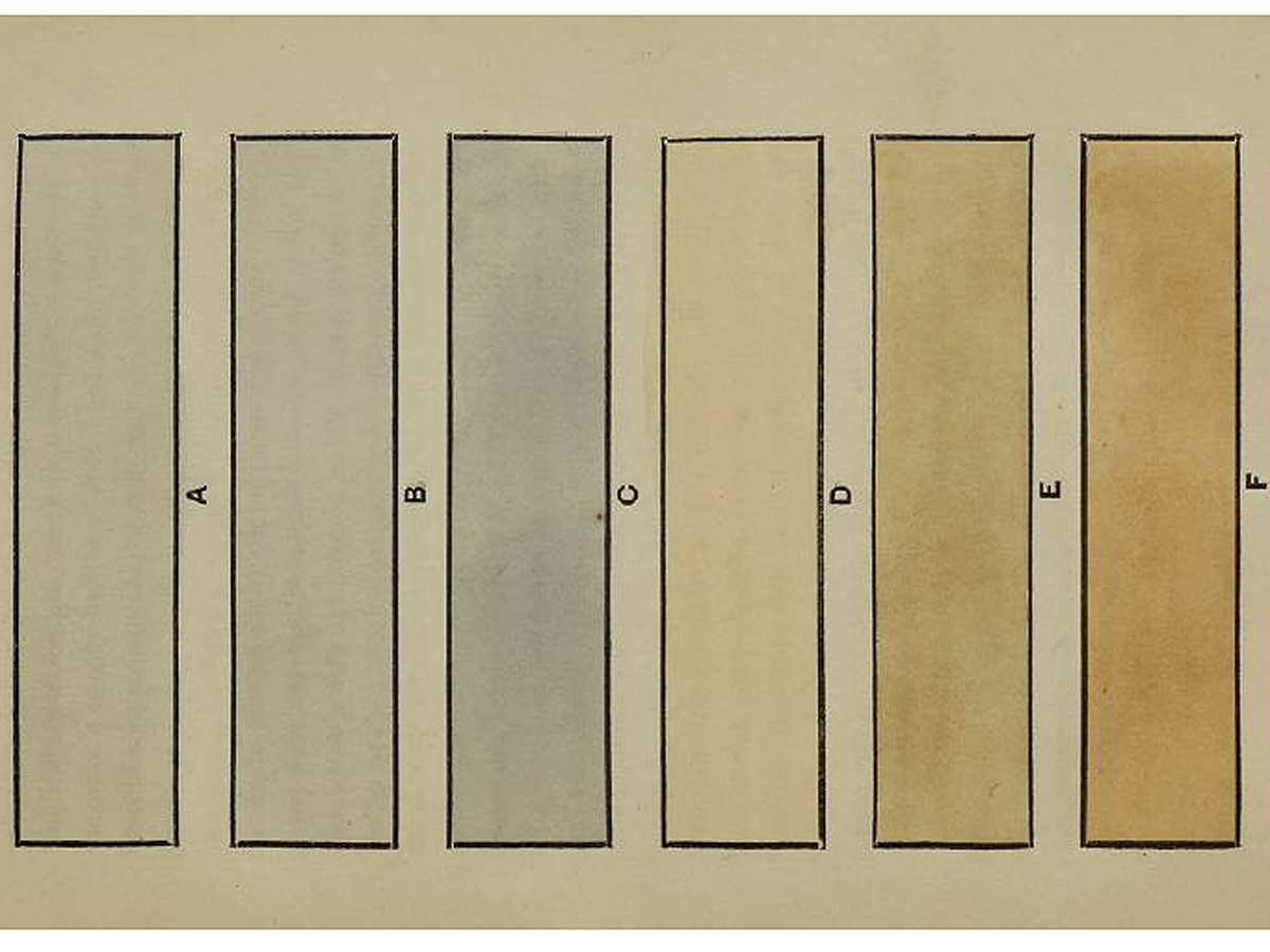 6 rectangles with drab colors A- opaque gray, B-light gray, c- gray, d- light tan, e- tan, f- light brown.