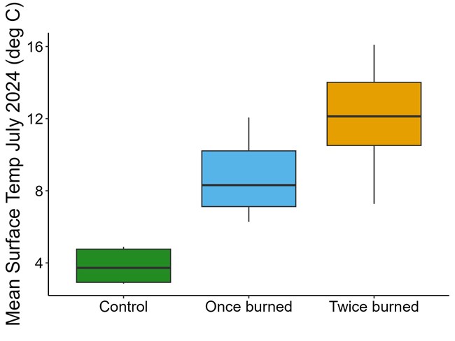 Graph showing mean surface temperature in July 2024 of plots that were unburned, once burned, and twice burned, showing increase progressively from the unburned to the once-burned and the twice-burned