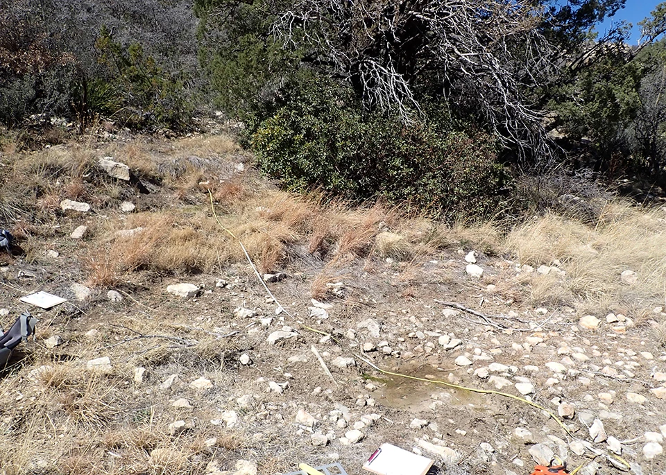 Iron Pipe Seep A slope with shrubs, trees, and areas of open ground with scattered rocks and dried plants. A small spring emerges from the hillside.