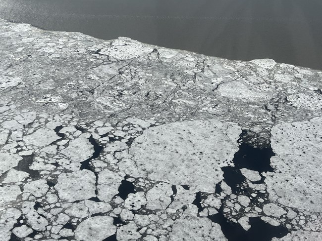 Fig4_Sea ice off Kotz 9Jun2022 A black and white image of discontinue sea ice.