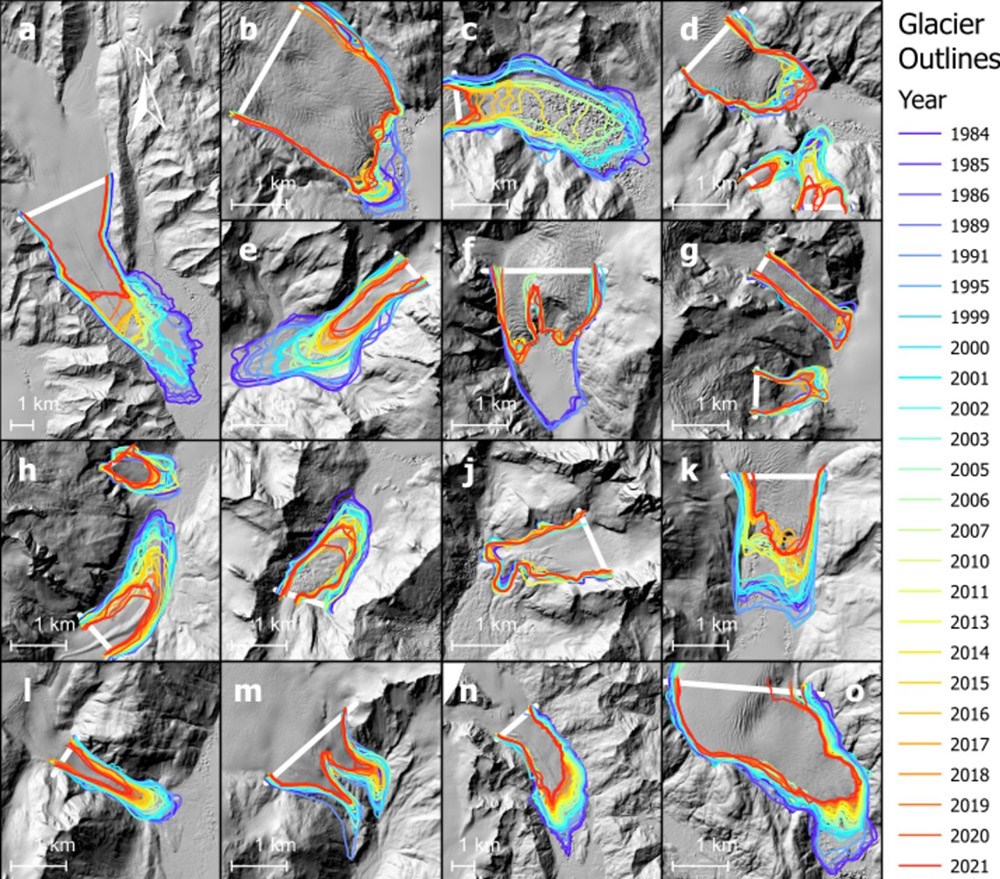 A mosaic of glaciers and changes in extent.