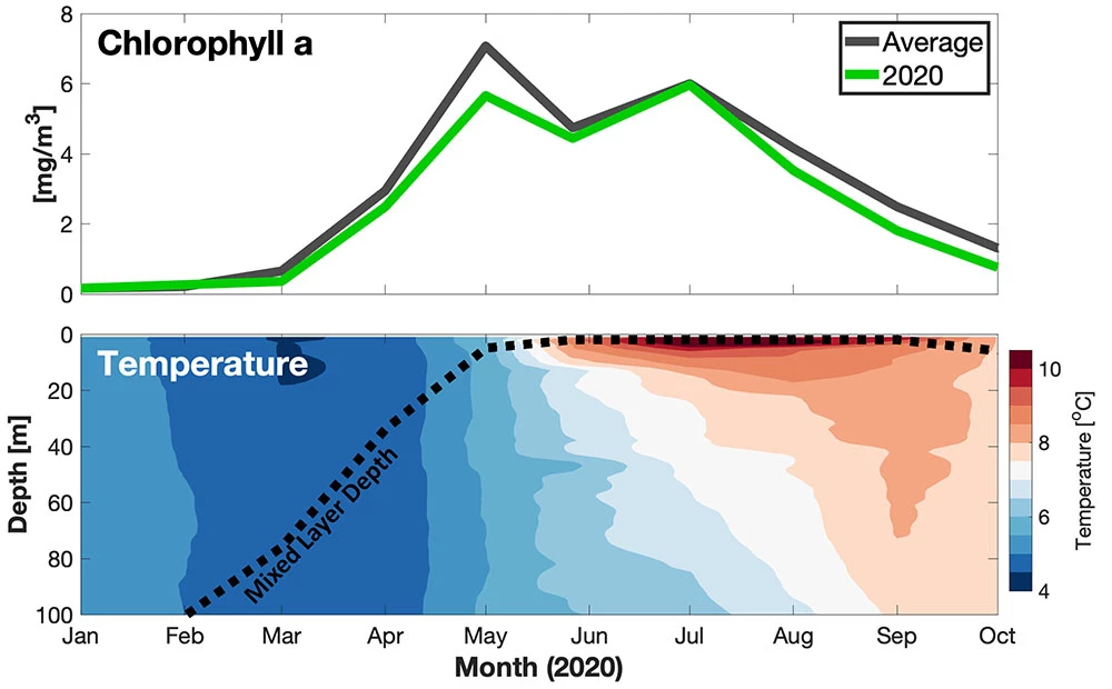 Fig3_Chlorophyll_web A figure showing chlorophyll and temperature over time and water depth.