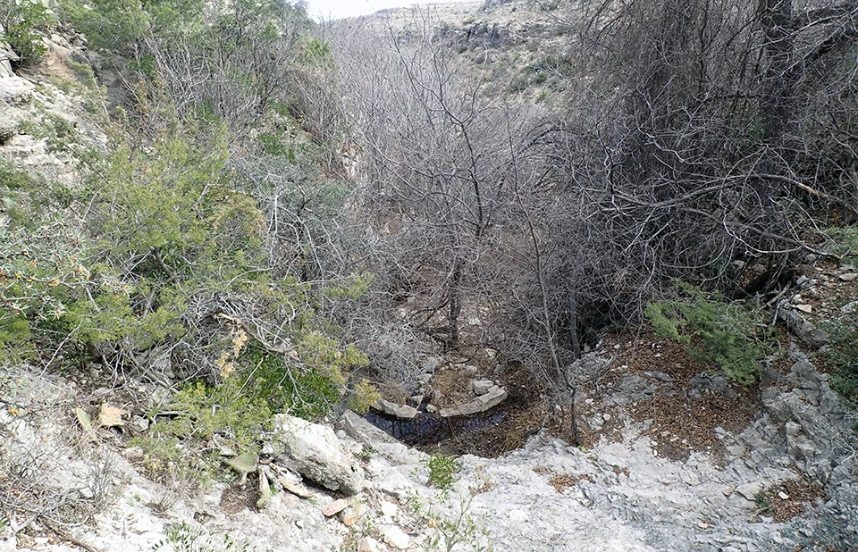 Oak Spring A u-shaped pool in a bedrock canyon bottom that is lined with trees and shrubs.