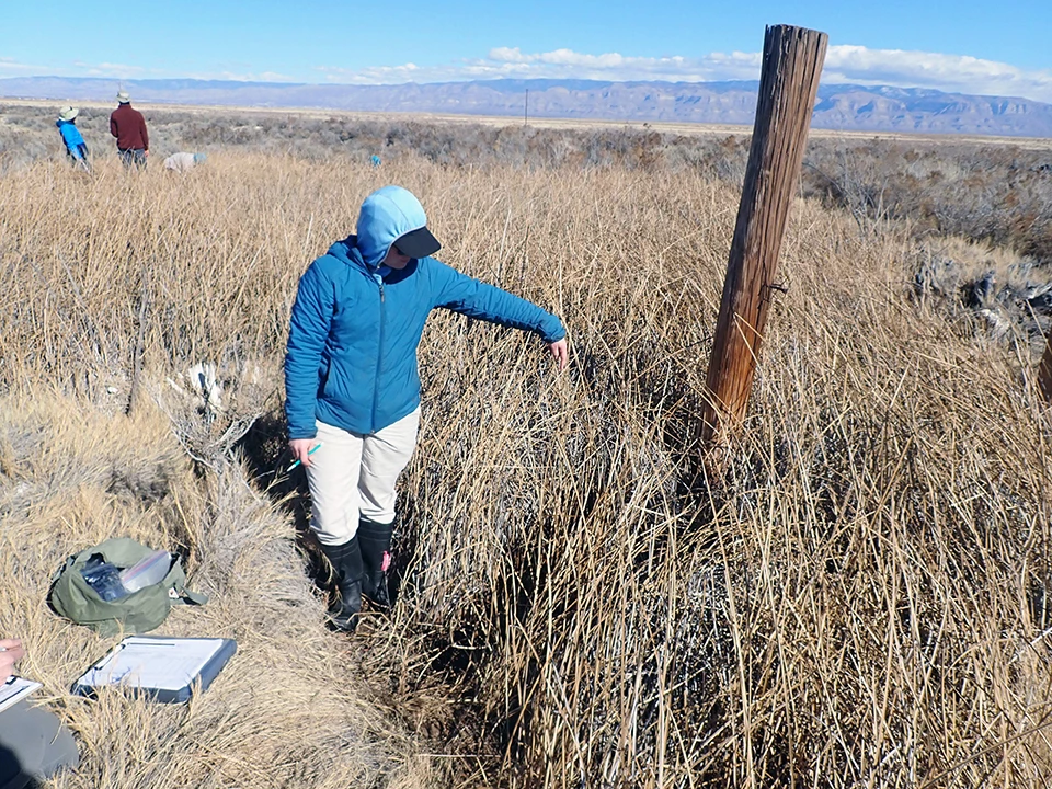 Garton Pond A person pointing to the ground near the base of a wooden post positioned in dense, dried vegetation.