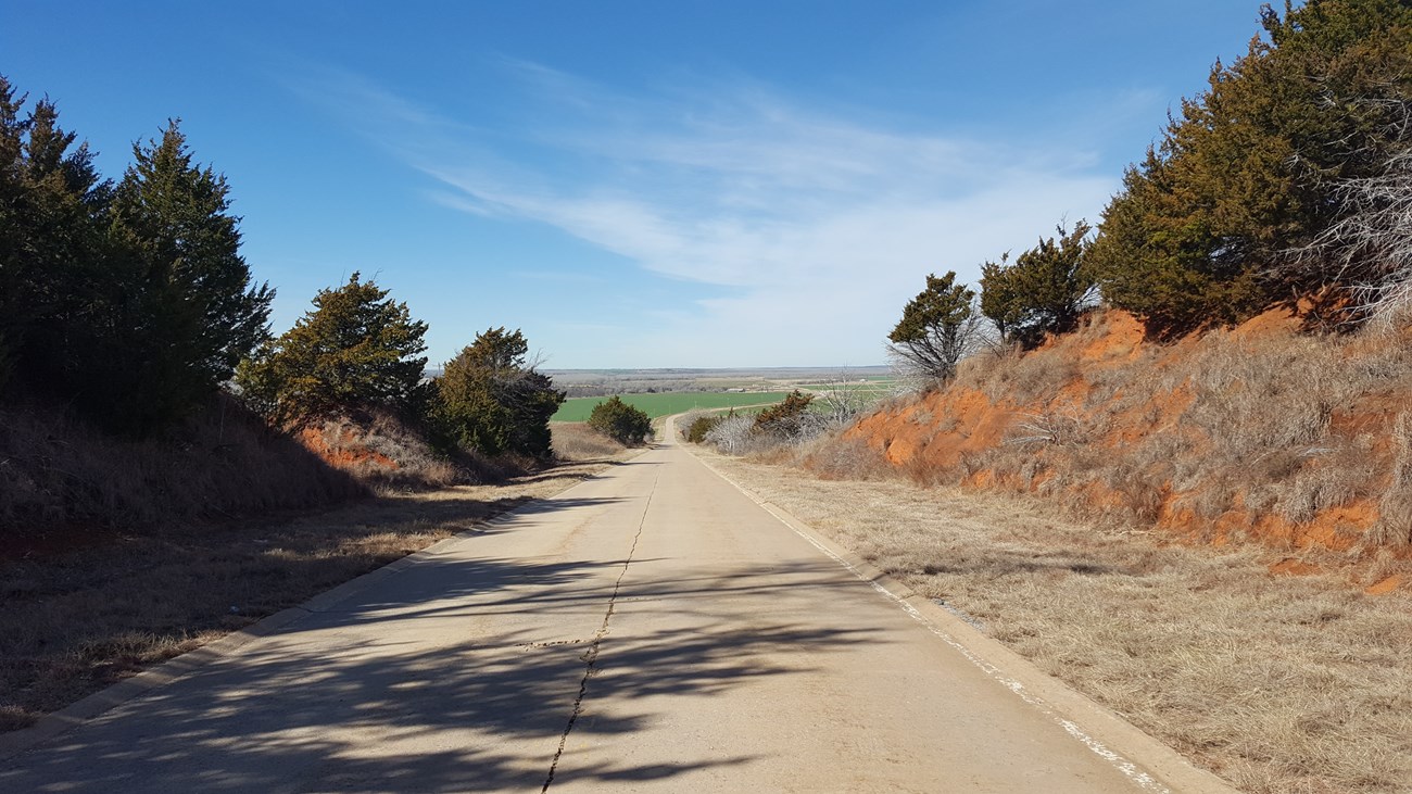 Brown grass and short green trees line the sides of a concrete road descending to a green field on the distant horizon