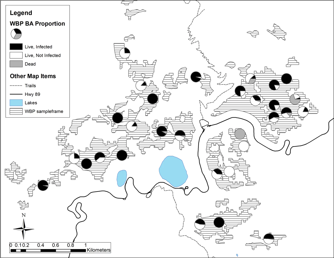 Whitebark pine plots in Lassen Volcanic About half of the whitebark pine trees sampled in Lassen Volcanic National Park were infected with white pine blister rust