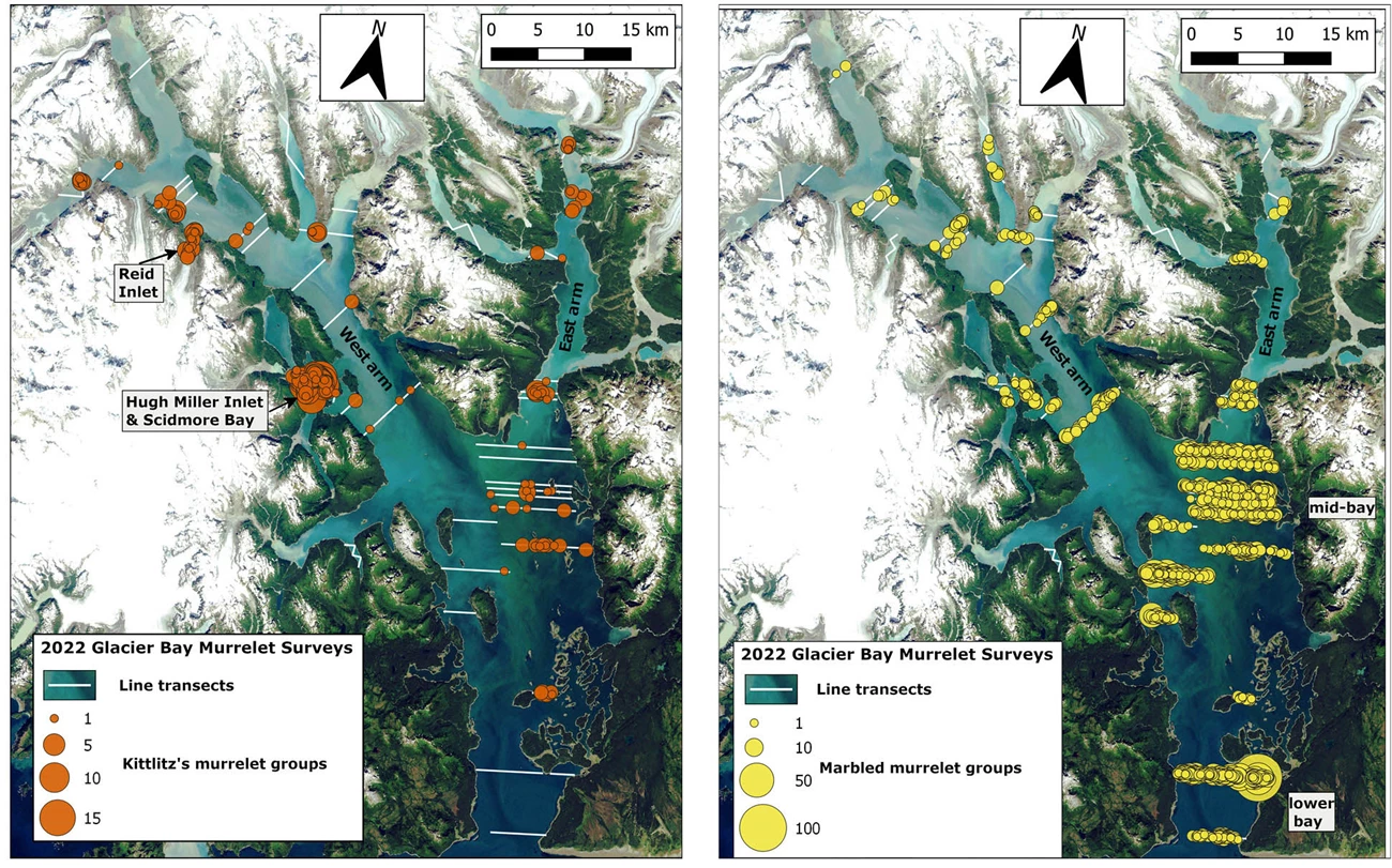 Figs 2-3_web Two side-by-side maps showing murrelet occurrence.