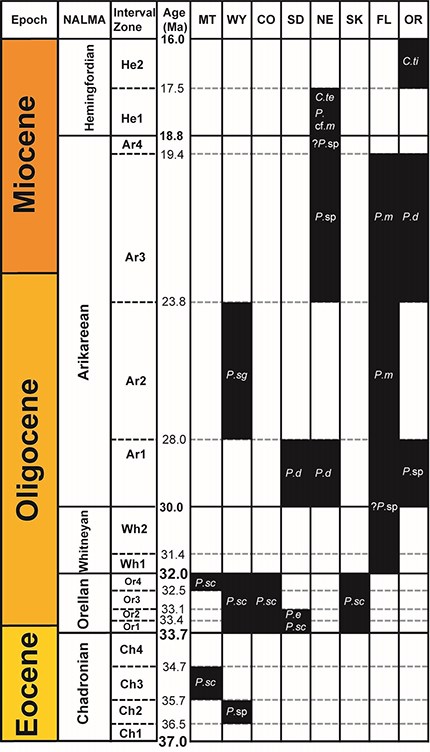 image of  a complex chart showing ages and ranges of fossils in the eocene, oligocene and miocene in 8 states