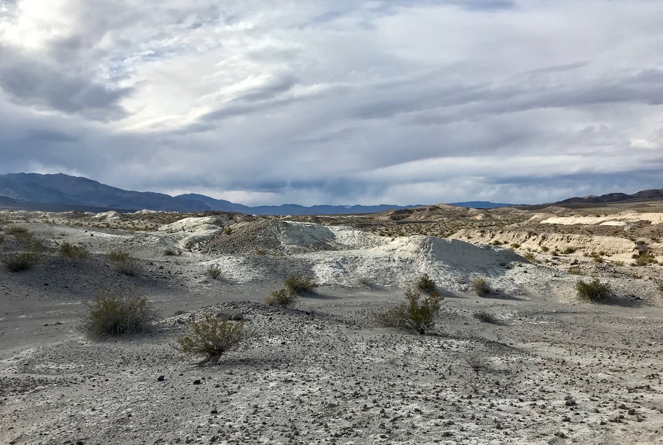 desert landscape