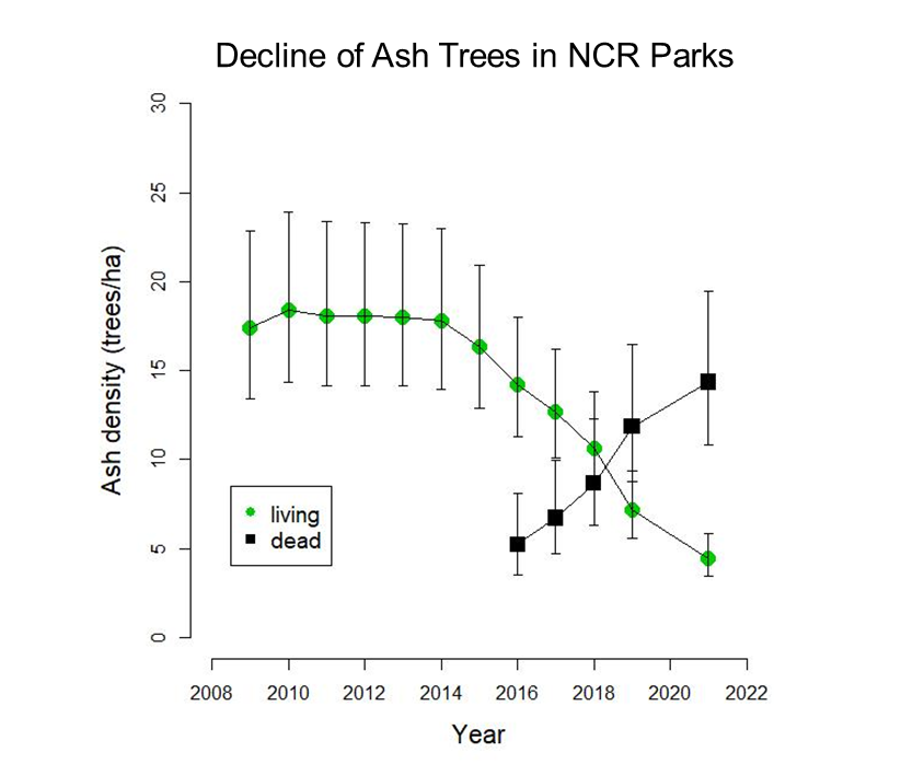 Ash Tree Decline