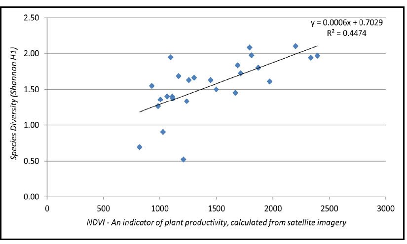Bird species diversity as a function of plant productivity Line graph plotting bird species diversity (y-axis) as a function of NDVI (plant productivity, x-axis). The graph shows a best-fit line with a positive trend. R-squared = 0.4474.