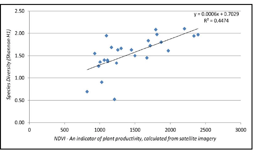 Bird species diversity as a function of plant productivity Line graph plotting bird species diversity (y-axis) as a function of NDVI (plant productivity, x-axis). The graph shows a best-fit line with a positive trend. R-squared = 0.4474.