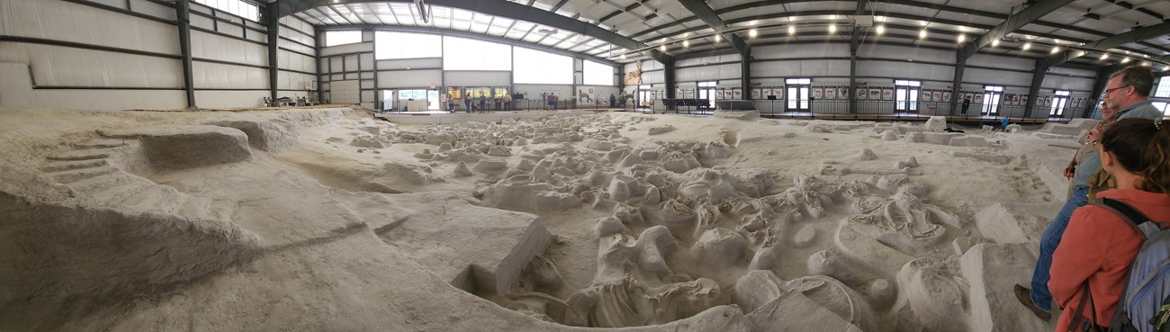 panogramic photograph of fossil dig site