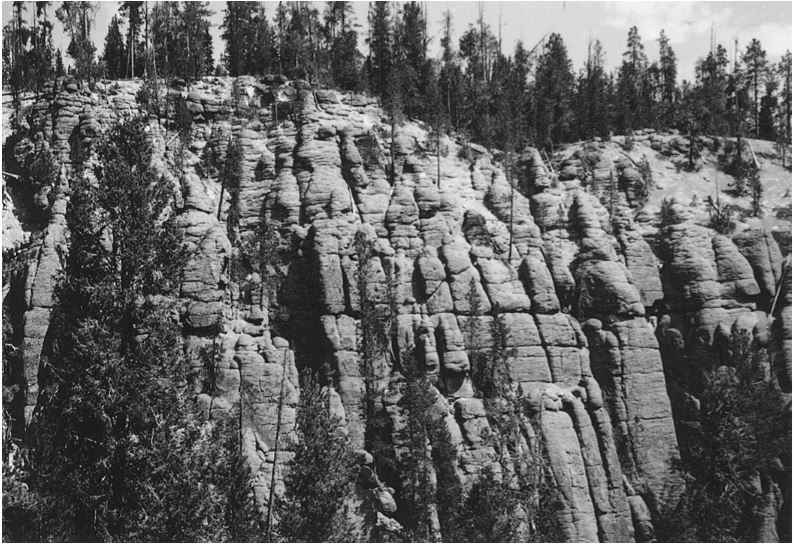 cliff with jointed rock columns