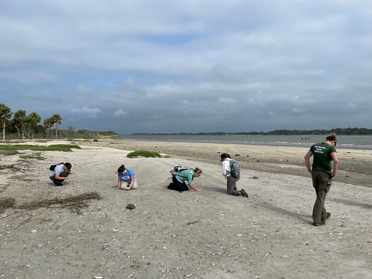Photo fo a group of people looking for fossils on a beach.