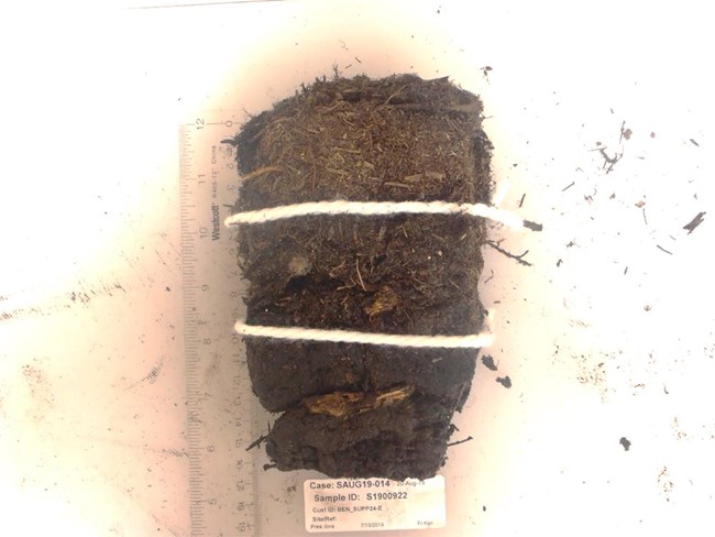 Figure 3_organic suface horizon_web Image of a soil profile showing organic layers.