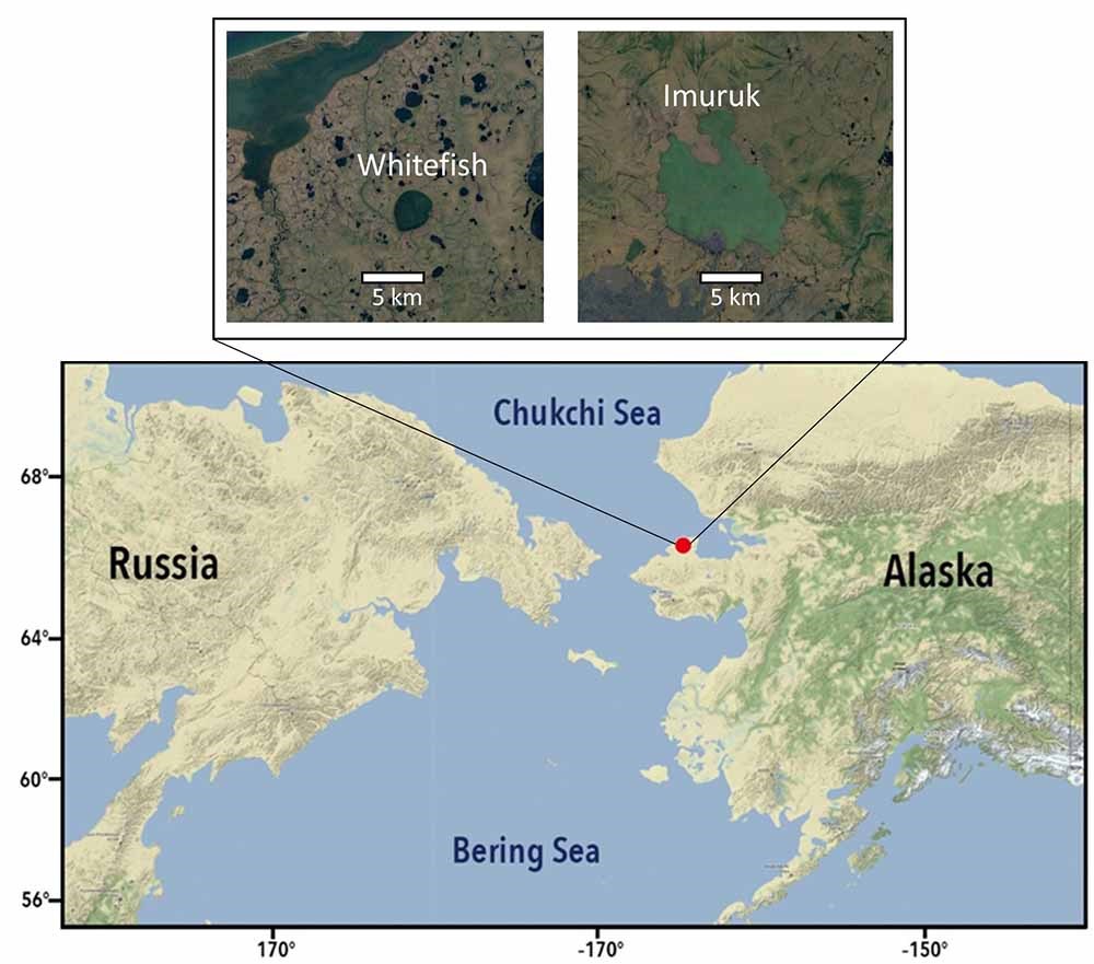 A map of Beringia with insets of the two lakes where samples were collected.
