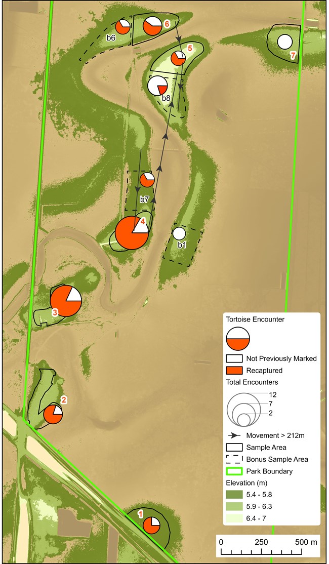 Map of Texas tortoise survey areas and encounter rates for 2023
