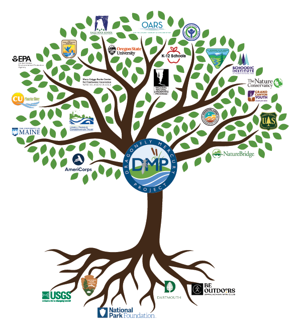 A diagram of a tree. The brown roots are covered with agency logos. The branches and leaves are covered with partner logos.