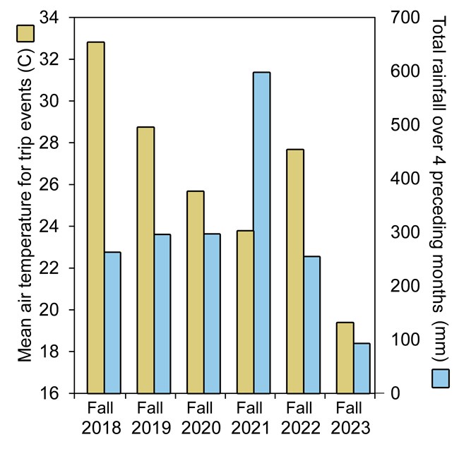 Bar graph showing mean air temperature during and rainfall before Texas tortoise surveys