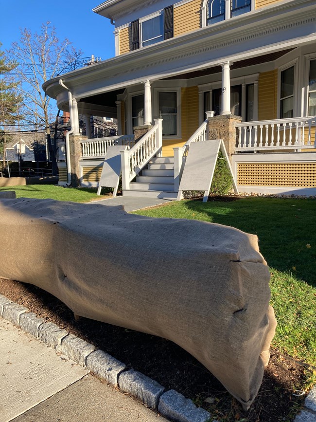 Shrubs covered with brown fabric to protect them in front of a yellow house