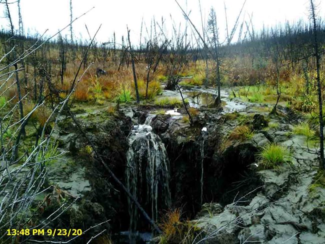 Figure 5_deterioratied streambed_web A gully erodes muddy area in a burn site.