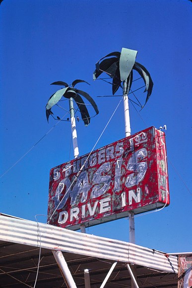 Weathered neon sign two fake palm trees and red rectangle with white text reading Oasis Drive-in.